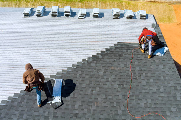 Best Roof Gutter Cleaning  in Tremonton, UT